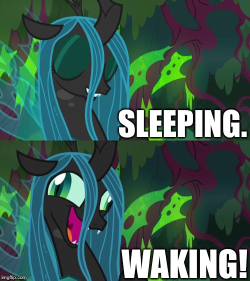 Queen Chyrsails sleep and wake. | SLEEPING. WAKING! | image tagged in mlp fim,sleeping,wake up | made w/ Imgflip meme maker