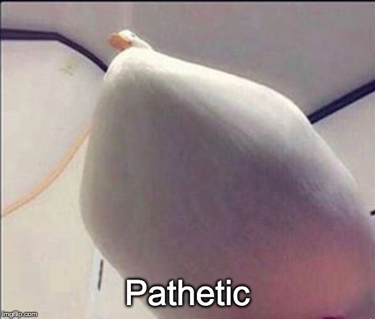 thicc ducc | Pathetic | image tagged in thicc ducc | made w/ Imgflip meme maker