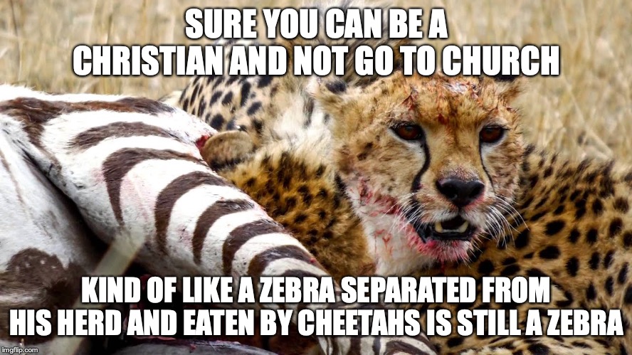 SURE YOU CAN BE A CHRISTIAN AND NOT GO TO CHURCH; KIND OF LIKE A ZEBRA SEPARATED FROM HIS HERD AND EATEN BY CHEETAHS IS STILL A ZEBRA | image tagged in church,christian | made w/ Imgflip meme maker