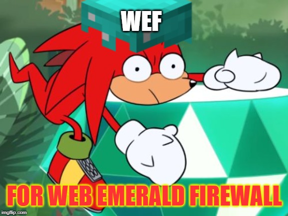 WEF | WEF; FOR WEB EMERALD FIREWALL | image tagged in knuckles,wall,web,emerald,firewall,sonic | made w/ Imgflip meme maker
