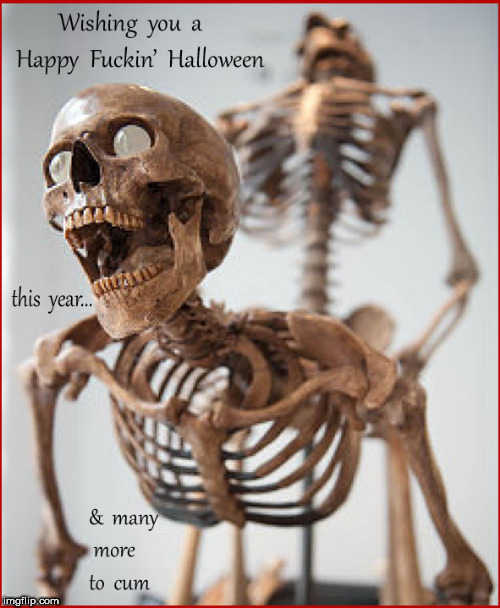 Happy  Halloween | image tagged in happy halloween,lol,funny memes | made w/ Imgflip meme maker