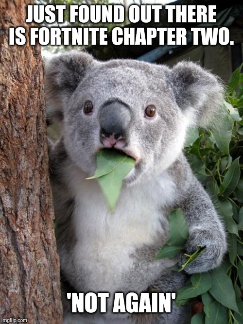Surprised Koala | JUST FOUND OUT THERE IS FORTNITE CHAPTER TWO. 'NOT AGAIN' | image tagged in memes,surprised koala | made w/ Imgflip meme maker