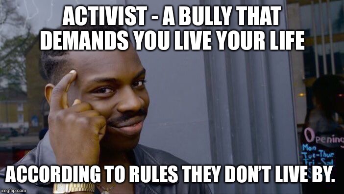 Roll Safe Think About It Meme | ACTIVIST - A BULLY THAT DEMANDS YOU LIVE YOUR LIFE; ACCORDING TO RULES THEY DON’T LIVE BY. | image tagged in memes,roll safe think about it | made w/ Imgflip meme maker