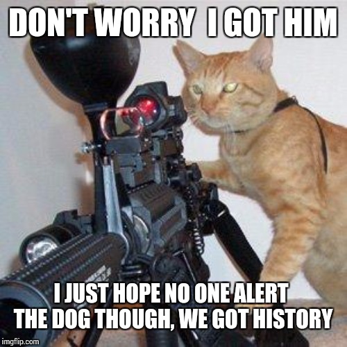 cat with gun | DON'T WORRY  I GOT HIM I JUST HOPE NO ONE ALERT  THE DOG THOUGH, WE GOT HISTORY | image tagged in cat with gun | made w/ Imgflip meme maker