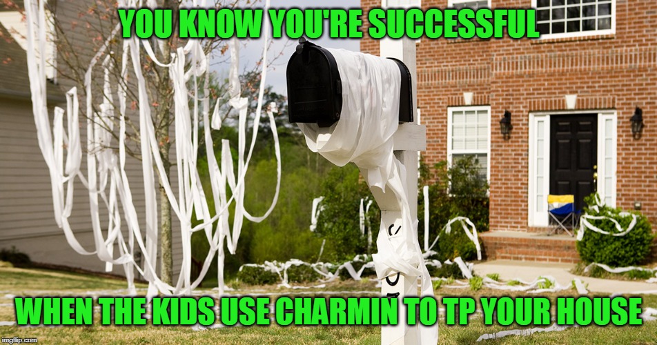 Single ply can bite my....well you know | YOU KNOW YOU'RE SUCCESSFUL; WHEN THE KIDS USE CHARMIN TO TP YOUR HOUSE | image tagged in happy halloween | made w/ Imgflip meme maker