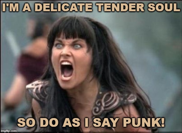 Angry Xena | I'M A DELICATE TENDER SOUL; SO DO AS I SAY PUNK! | image tagged in angry xena | made w/ Imgflip meme maker