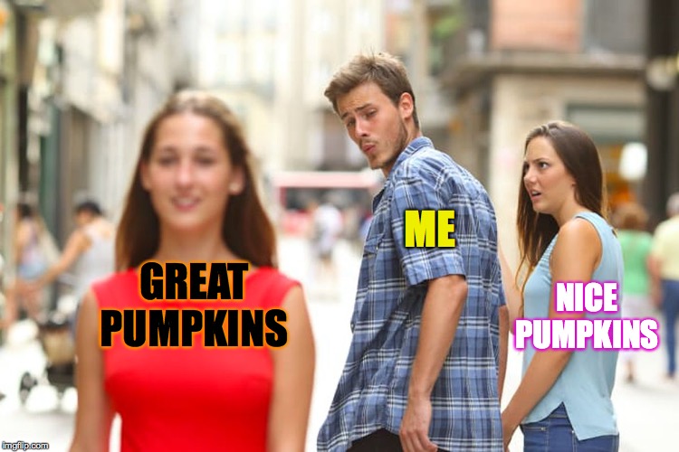Distracted Boyfriend | ME; GREAT PUMPKINS; NICE PUMPKINS | image tagged in memes,distracted boyfriend,halloween,great pumpkin | made w/ Imgflip meme maker