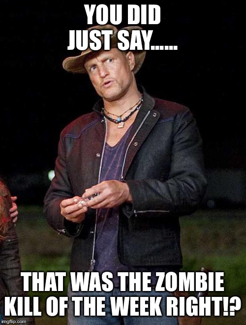 Woody Zombieland | YOU DID JUST SAY...... THAT WAS THE ZOMBIE KILL OF THE WEEK RIGHT!? | image tagged in woody zombieland | made w/ Imgflip meme maker