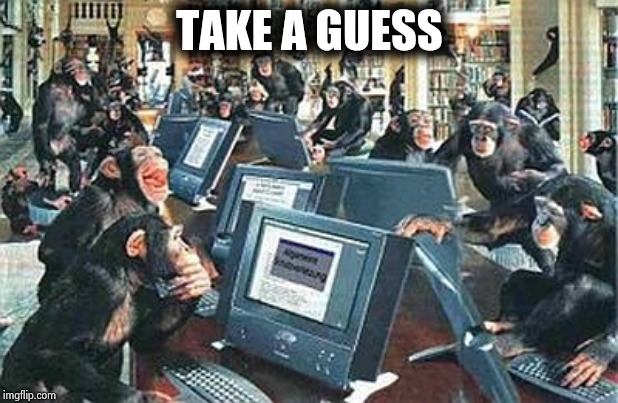 monkeys computers | TAKE A GUESS | image tagged in monkeys computers | made w/ Imgflip meme maker