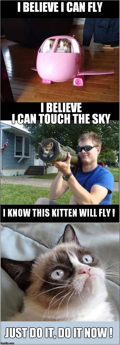 Grumpys Dreams of Flying | I BELIEVE I CAN FLY; I BELIEVE; I CAN TOUCH THE SKY; I KNOW THIS KITTEN WILL FLY ! JUST DO IT, DO IT NOW ! | image tagged in cats,grumpy cat,flying | made w/ Imgflip meme maker