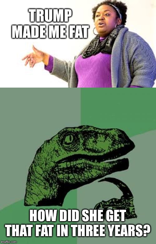 Trump made me fat. Always blame someone else. |  TRUMP MADE ME FAT; HOW DID SHE GET THAT FAT IN THREE YEARS? | image tagged in memes,philosoraptor,brittney cooper | made w/ Imgflip meme maker