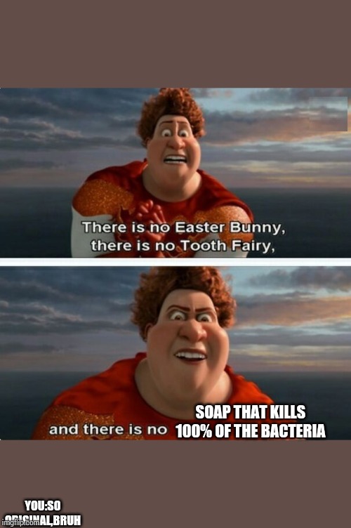 TIGHTEN MEGAMIND "THERE IS NO EASTER BUNNY" | SOAP THAT KILLS 100% OF THE BACTERIA; YOU:SO ORIGINAL,BRUH | image tagged in tighten megamind there is no easter bunny | made w/ Imgflip meme maker