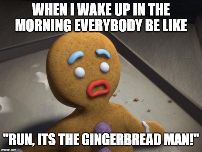 Gingerbread man | WHEN I WAKE UP IN THE MORNING EVERYBODY BE LIKE; "RUN, ITS THE GINGERBREAD MAN!" | image tagged in gingerbread man | made w/ Imgflip meme maker