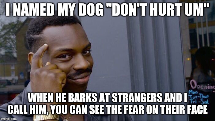 Names are important | I NAMED MY DOG "DON'T HURT UM"; WHEN HE BARKS AT STRANGERS AND I CALL HIM, YOU CAN SEE THE FEAR ON THEIR FACE | image tagged in memes,roll safe think about it,names are important,don't hurt um,my dog is harmless | made w/ Imgflip meme maker