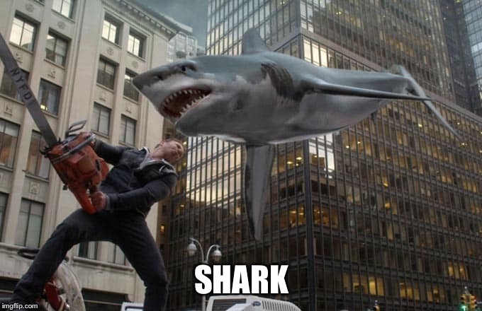 Sharknado | SHARK | image tagged in sharknado | made w/ Imgflip meme maker