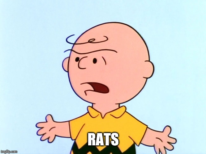 Angry Charlie Brown | RATS | image tagged in angry charlie brown | made w/ Imgflip meme maker