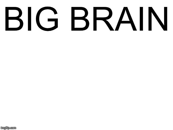 Blank White Template | BIG BRAIN | image tagged in blank white template | made w/ Imgflip meme maker