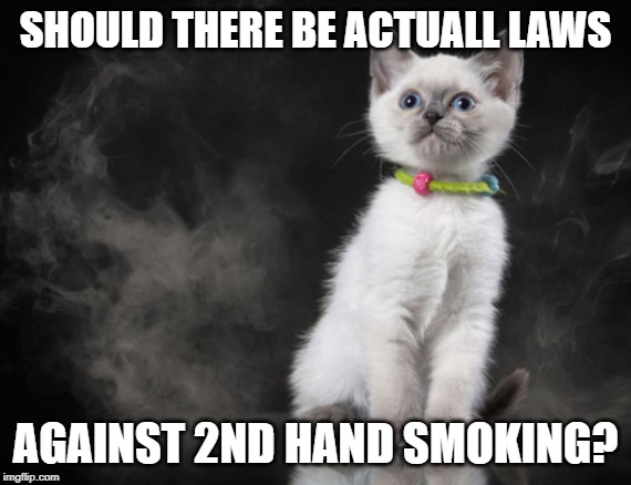 SHOULD THERE BE ACTUALL LAWS; AGAINST 2ND HAND SMOKING? | made w/ Imgflip meme maker