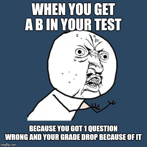 Y U No Meme | WHEN YOU GET A B IN YOUR TEST; BECAUSE YOU GOT 1 QUESTION WRONG AND YOUR GRADE DROP BECAUSE OF IT | image tagged in memes,y u no | made w/ Imgflip meme maker