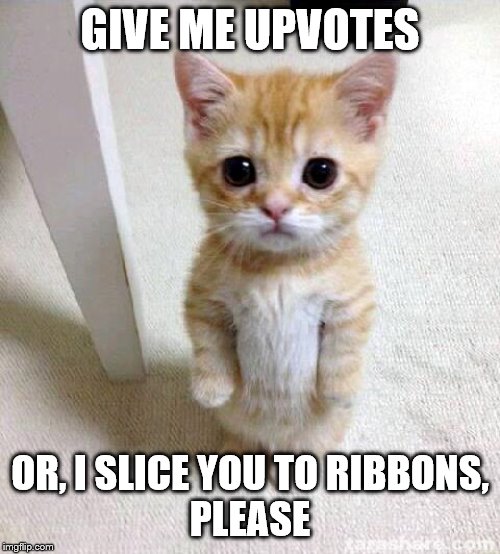 Cute Cat Wants Upvotes | GIVE ME UPVOTES; OR, I SLICE YOU TO RIBBONS,

PLEASE | image tagged in memes,cute cat,funny memes,imgflip | made w/ Imgflip meme maker