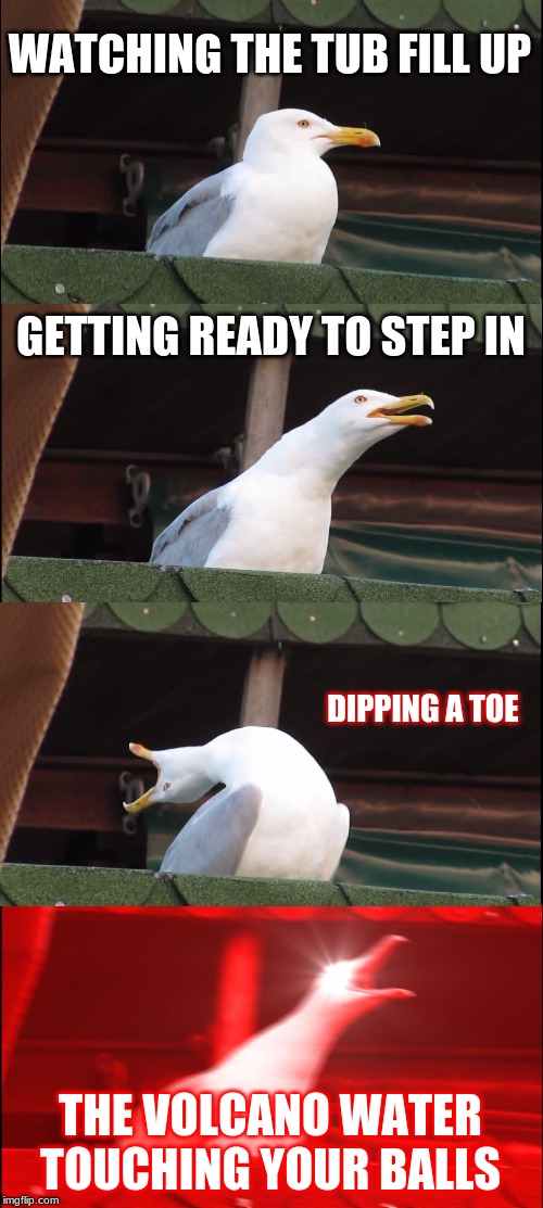 Inhaling Seagull Meme | WATCHING THE TUB FILL UP; GETTING READY TO STEP IN; DIPPING A TOE; THE VOLCANO WATER TOUCHING YOUR BALLS | image tagged in memes,inhaling seagull | made w/ Imgflip meme maker
