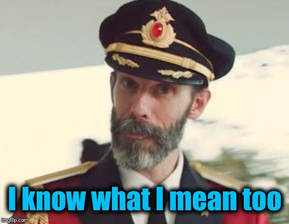 Captain Obvious | I know what I mean too | image tagged in captain obvious | made w/ Imgflip meme maker