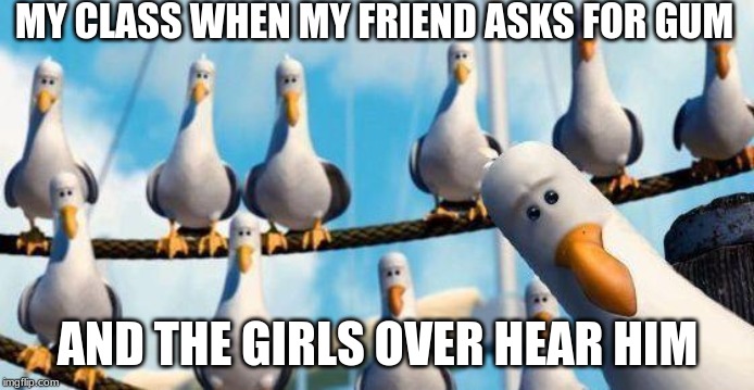 Nemo Birds | MY CLASS WHEN MY FRIEND ASKS FOR GUM; AND THE GIRLS OVER HEAR HIM | image tagged in nemo birds | made w/ Imgflip meme maker