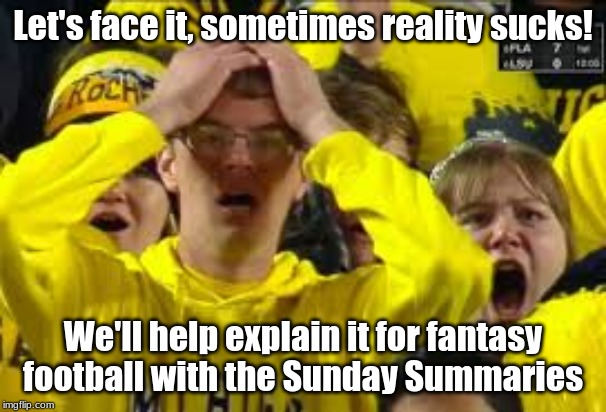 Sunday Summaries with Flipper | Let's face it, sometimes reality sucks! We'll help explain it for fantasy football with the Sunday Summaries | image tagged in football,nfl,fantasy football,nfl football,shocked face | made w/ Imgflip meme maker