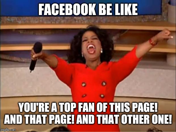 Oprah You Get A | FACEBOOK BE LIKE; YOU'RE A TOP FAN OF THIS PAGE! AND THAT PAGE! AND THAT OTHER ONE! | image tagged in memes,oprah you get a | made w/ Imgflip meme maker