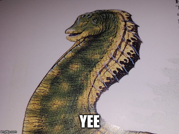 A real Yee Dinosaur | YEE | image tagged in yee,books | made w/ Imgflip meme maker