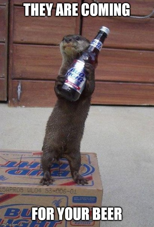 beer otter | THEY ARE COMING; FOR YOUR BEER | image tagged in beer otter | made w/ Imgflip meme maker