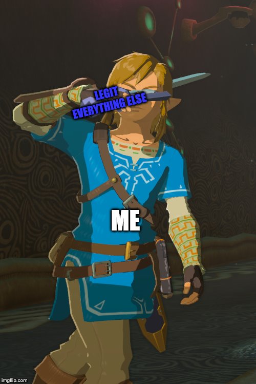 Link | LEGIT EVERYTHING ELSE; ME | image tagged in link | made w/ Imgflip meme maker