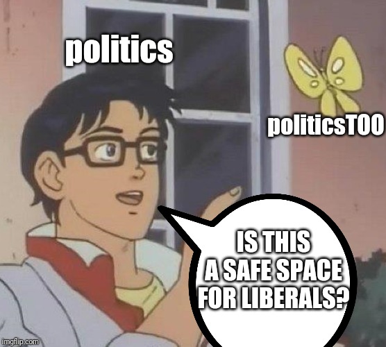 politics; politicsTOO; IS THIS A SAFE SPACE FOR LIBERALS? | made w/ Imgflip meme maker