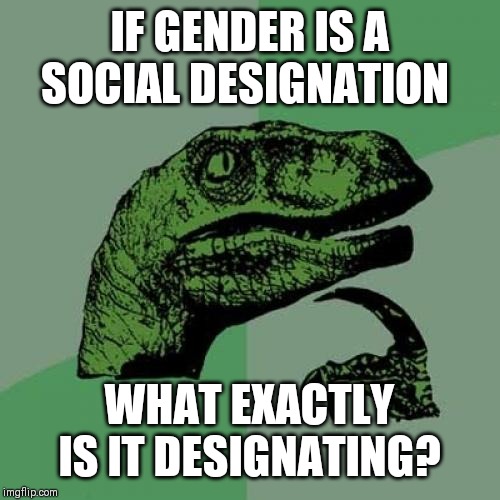Philosoraptor | IF GENDER IS A SOCIAL DESIGNATION; WHAT EXACTLY IS IT DESIGNATING? | image tagged in memes,philosoraptor | made w/ Imgflip meme maker