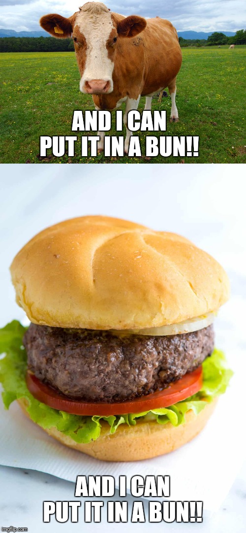  AND I CAN PUT IT IN A BUN!! AND I CAN PUT IT IN A BUN!! | image tagged in funny,food,lol,lol so funny | made w/ Imgflip meme maker
