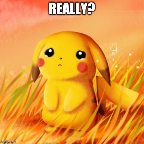 Sad Pikachu | REALLY? | image tagged in sad pikachu | made w/ Imgflip meme maker