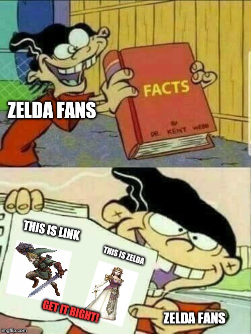 Double d facts book  | ZELDA FANS; THIS IS LINK; THIS IS ZELDA; ZELDA FANS; GET IT RIGHT! | image tagged in double d facts book | made w/ Imgflip meme maker