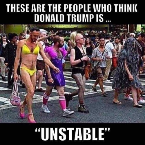 These are the people who think Donald Trump is unstable. | image tagged in mental illness,mental health,liberalism,liberalism is a mentall illness,unstable,crying democrats | made w/ Imgflip meme maker