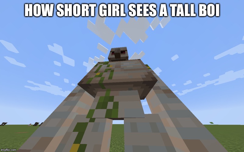 Iron Golem | HOW SHORT GIRL SEES A TALL BOI | image tagged in iron golem | made w/ Imgflip meme maker