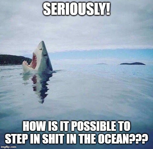Poop! | SERIOUSLY! HOW IS IT POSSIBLE TO STEP IN SHIT IN THE OCEAN??? | image tagged in shark_head_out_of_water | made w/ Imgflip meme maker