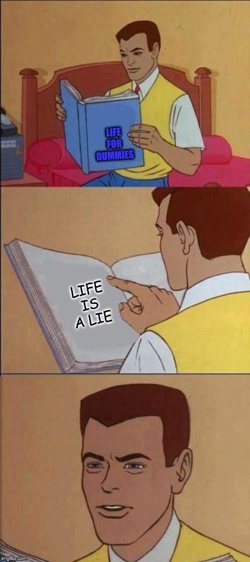 Book of Idiots | LIFE FOR DUMMIES; LIFE IS A LIE | image tagged in book of idiots | made w/ Imgflip meme maker