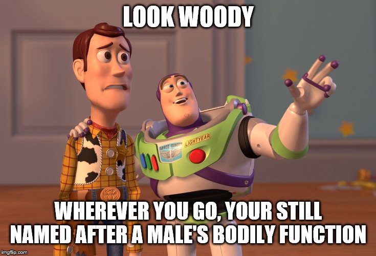 X, X Everywhere Meme | LOOK WOODY; WHEREVER YOU GO, YOUR STILL NAMED AFTER A MALE'S BODILY FUNCTION | image tagged in memes,x x everywhere | made w/ Imgflip meme maker