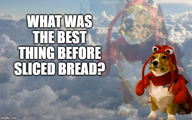 WHAT WAS THE BEST THING BEFORE SLICED BREAD? | image tagged in funny,memes | made w/ Imgflip meme maker