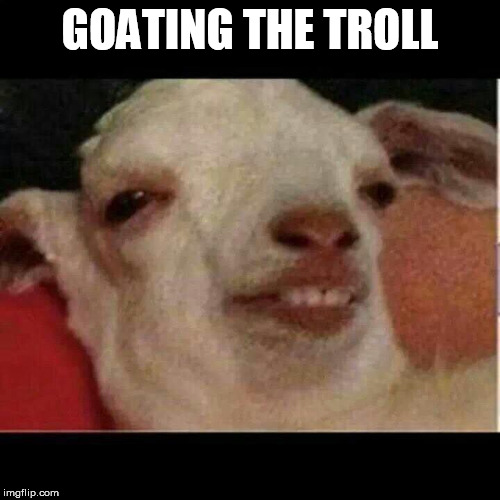 Drunk goat | GOATING THE TROLL | image tagged in drunk goat | made w/ Imgflip meme maker