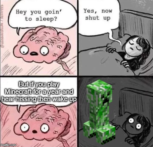 Creeper aw man, before you go right to sleep lol | But if you play Minecraft for a year and hear hissing then wake up | image tagged in waking up brain,minecraft,creeperawman | made w/ Imgflip meme maker