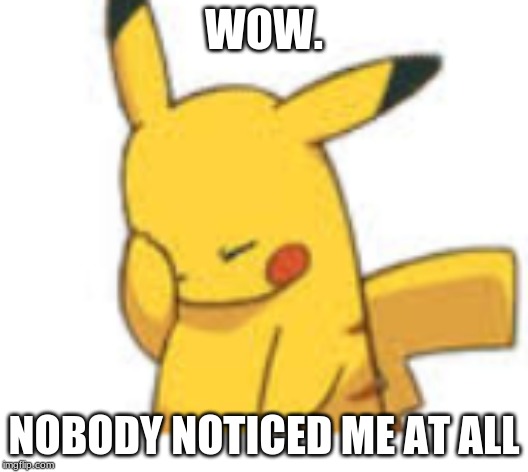 Pikachu Facepalm | WOW. NOBODY NOTICED ME AT ALL | image tagged in pikachu facepalm | made w/ Imgflip meme maker