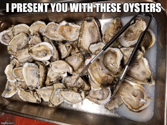 I PRESENT YOU WITH THESE OYSTERS | made w/ Imgflip meme maker
