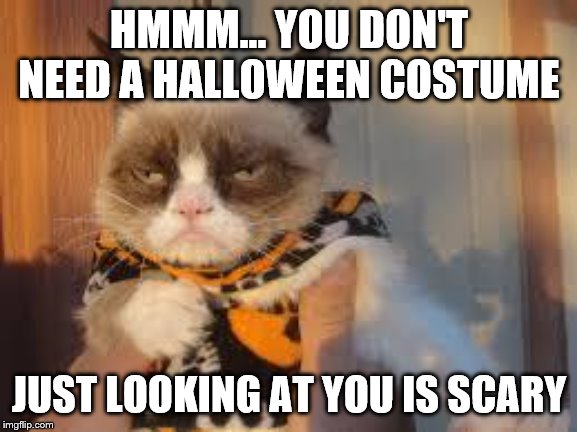 Grumpy Cat Halloween | HMMM... YOU DON'T NEED A HALLOWEEN COSTUME; JUST LOOKING AT YOU IS SCARY | image tagged in memes,grumpy cat halloween,grumpy cat | made w/ Imgflip meme maker