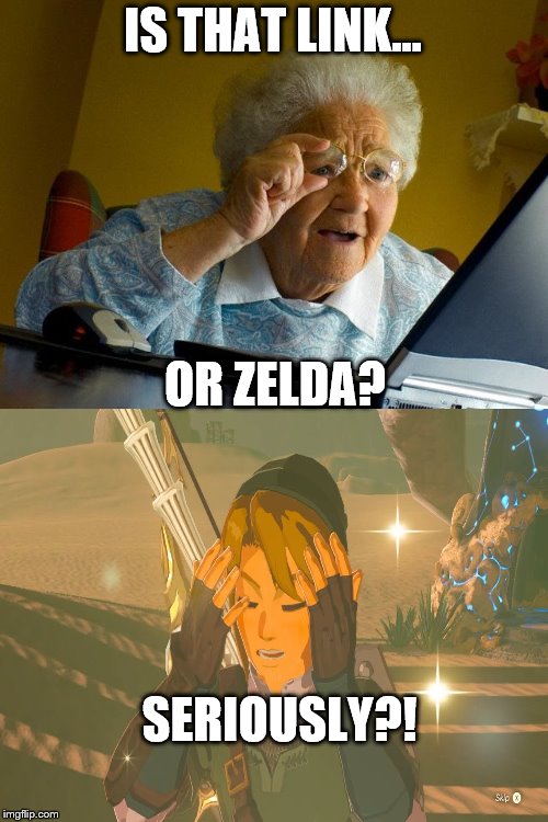 Grandma Finds The Internet Meme | IS THAT LINK... OR ZELDA? SERIOUSLY?! | image tagged in memes,grandma finds the internet | made w/ Imgflip meme maker