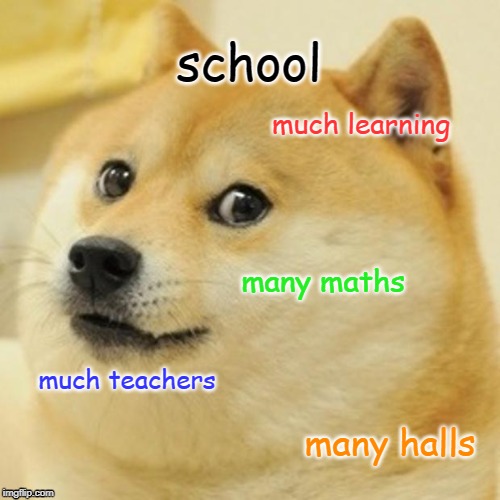 Doge | school; much learning; many maths; much teachers; many halls | image tagged in memes,doge | made w/ Imgflip meme maker